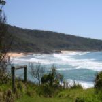 Mimosa Rocks NP – Have your say